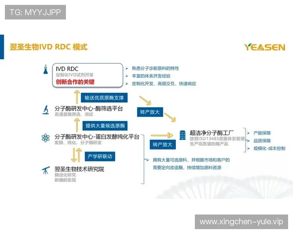 揭秘888集团的创新技术与产品研发如何推动网络游戏行业持续创新 揭秘888集团的创新技术与产品研发如何推动网络游戏行业持续创新