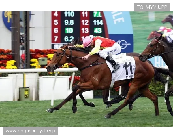 hkjc网娱乐:如何利用香港赛马会在线平台提升您的投注体验与中奖几率 hkjc网娱乐:如何利用香港赛马会在线平台提升您的投注体验与中奖几率
